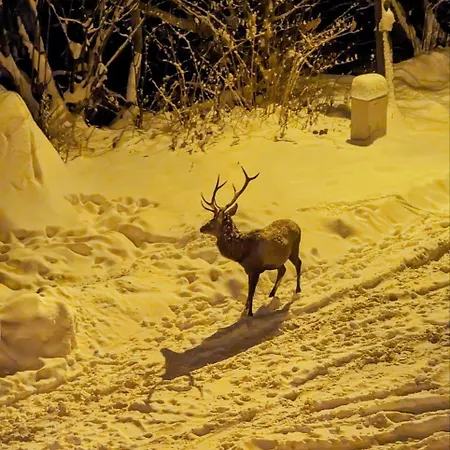 Dobry Klimat 2* Шклярска-Поремба