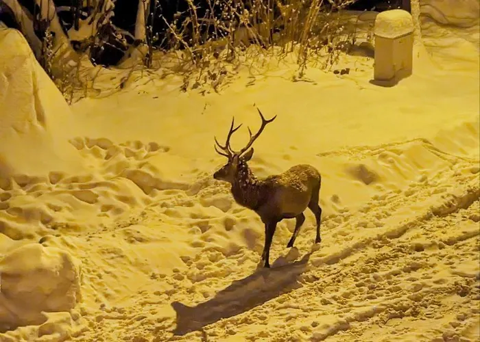 Dobry Klimat 2* Szklarska Poreba